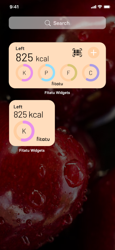 The Fitatu® Premium Widget 